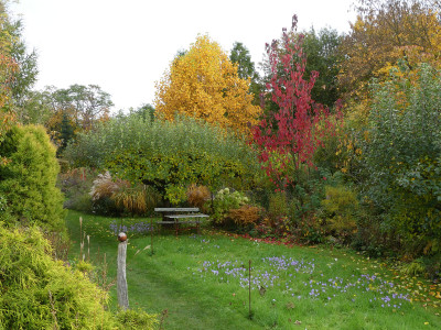 2020-10-25 Gartenimpressionen 4.jpg