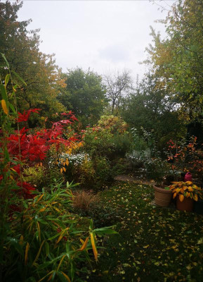 IMG_20201025_190031.jpg
