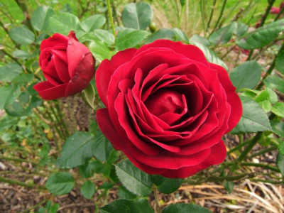DSCF1256.JPG