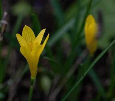 20201028_4.jpg