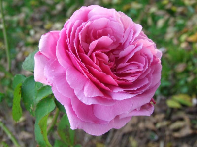 2020_0730OktoberEnde0263.JPG