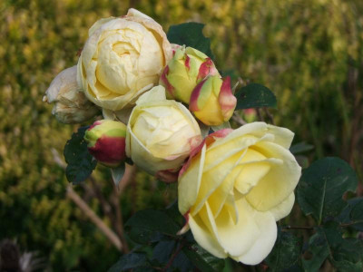 2020_0730OktoberEnde0215.JPG