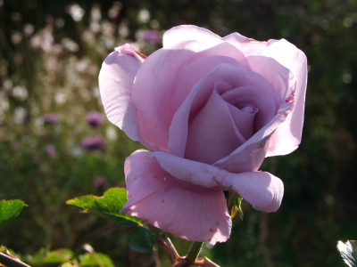 2020_0730OktoberEnde0259.JPG