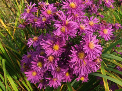 2020_0730OktoberEnde0011.JPG