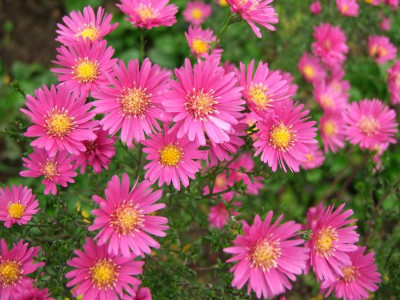 2020_0730OktoberEnde0156.JPG