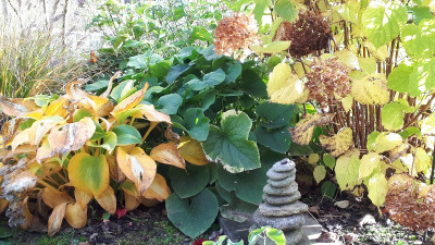 20201027_092129_resize_16.jpg