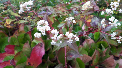 20201025_101852_resize_27.jpg