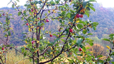 20201024_095642_resize_79.jpg