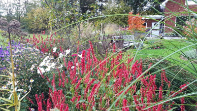 20201025_102604_resize_49.jpg