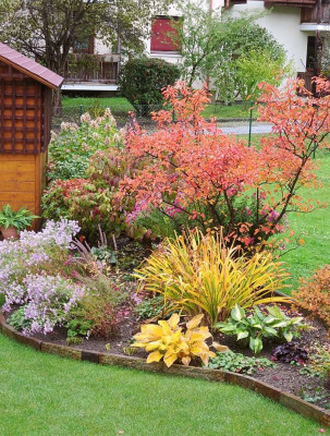 Blick_Garten17.jpg