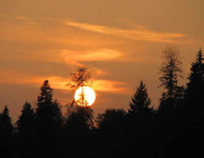 SUNDOWN_101007.jpg