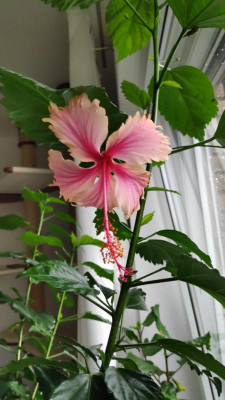 IMG-20201007-WA0004.jpeg