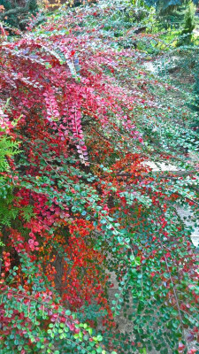 WP_20201026_13_56_23_Pro.jpg