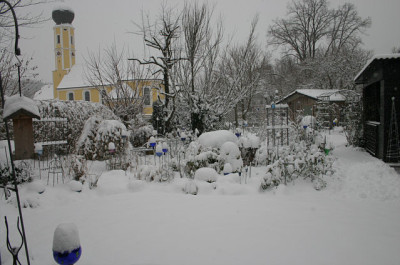 Wintera_2007a_3.jpg