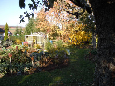 DSCN0396.JPG