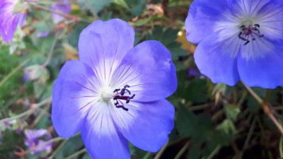 20201031_120851.jpg