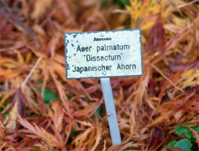 20201031_3.jpg