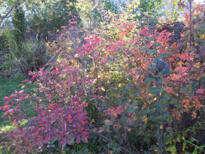 DSCN0378.JPG