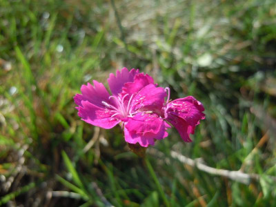 DSCN0380.JPG
