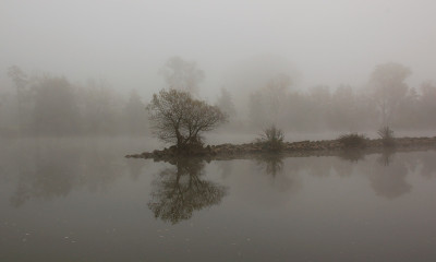 Nebelbank.jpg