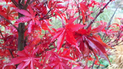 20201101_100700.jpg