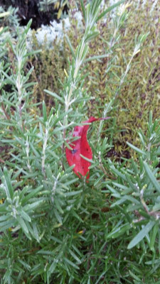 20201101_112537.jpg