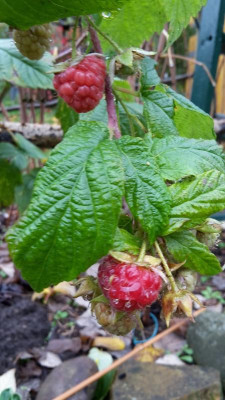 20201101_111944.jpg