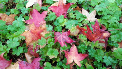 20201101_104428.jpg