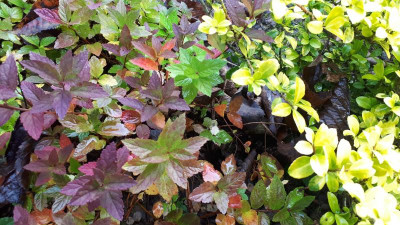 20201101_103350.jpg