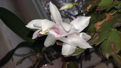 20201101_143702.jpg