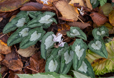 20201101_4.jpg