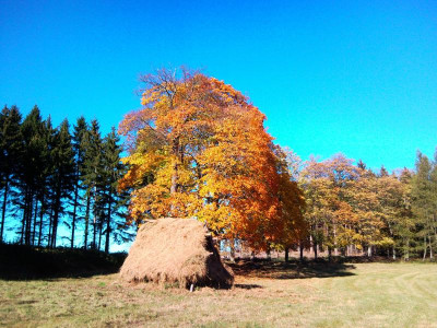 panoramio-61033384.jpg