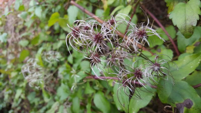 20201101_130709.jpg