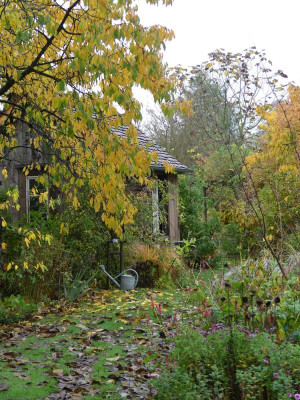 2020-10-31 Garteneinblick 4.jpg