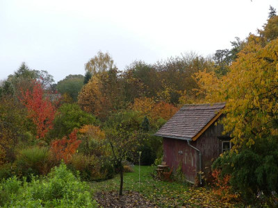 2020-10-31 Garteneinblick 7.jpg