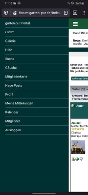Screenshot_20201102-110329_Firefox.jpg