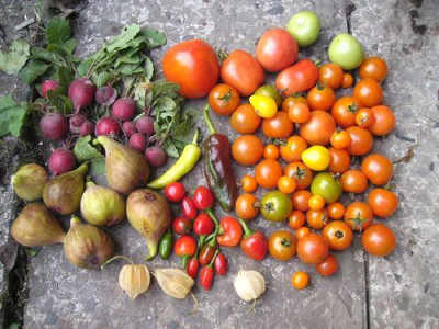 Gartenfruchte.jpg