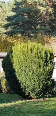 20201104_153504.jpg