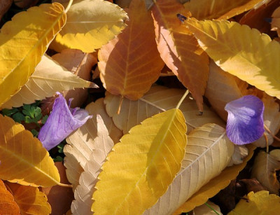 10_Vorschlag-Oktober-k0.jpg