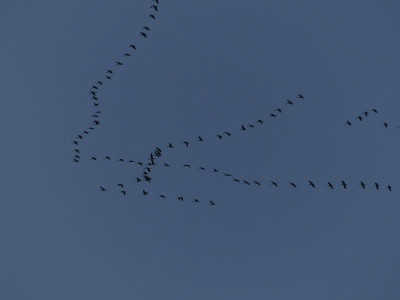 P1080215.JPG