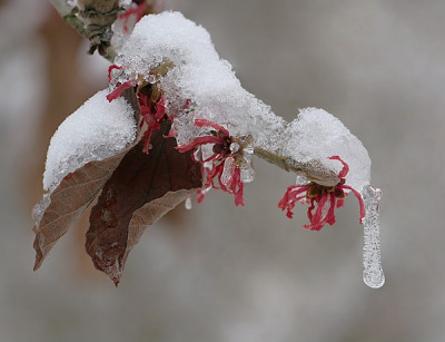 2-Vorschlag-Februar-k0.jpg