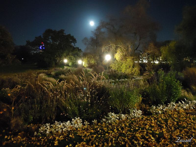 FreunInsel20201104_203021[1].jpg