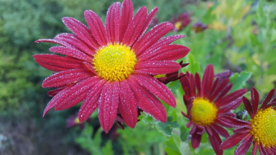 20201105_101508.jpg