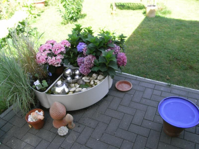 R0019333.JPG