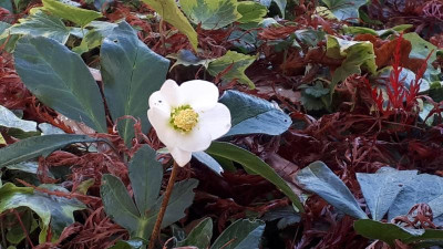 20201106_083535.jpg