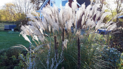 20201106_142305.jpg