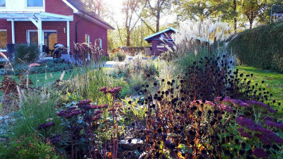 20201106_145033.jpg