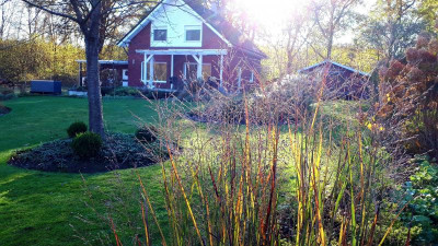 20201106_145051.jpg