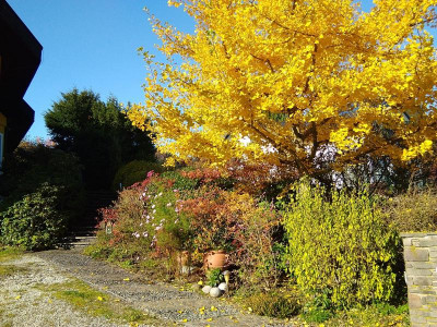 IMG_20201106_104831.jpg