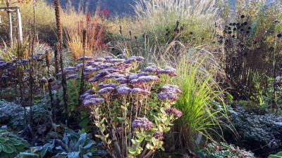 20201107_085058.jpg